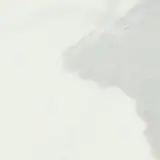 Valentina Statuario 2×2 Decorative Tile Polished Rectified