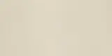 Neoconcrete White 12×24 Field Tile Light Polished Rectified