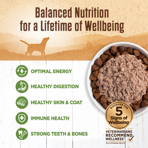The benefits of Wellness Complete Health 95% Lamb