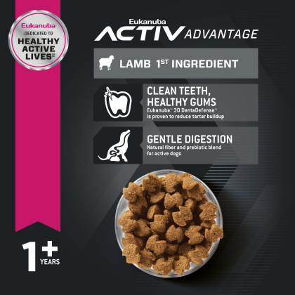 Adult - Lamb 1st Ingredient Dry Dog Food