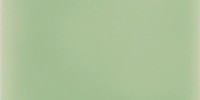 Vivid Mint 3×6 Field Tile Glossy