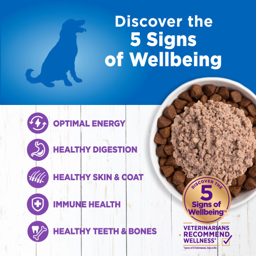 The benefits of Wellness Simple Grain Free Turkey & Potato