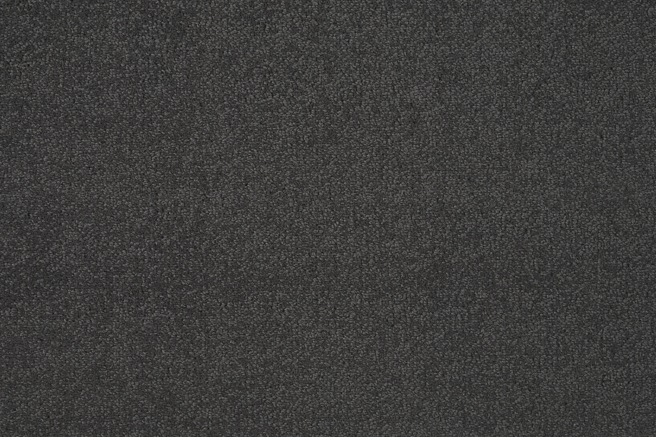 color-rug1