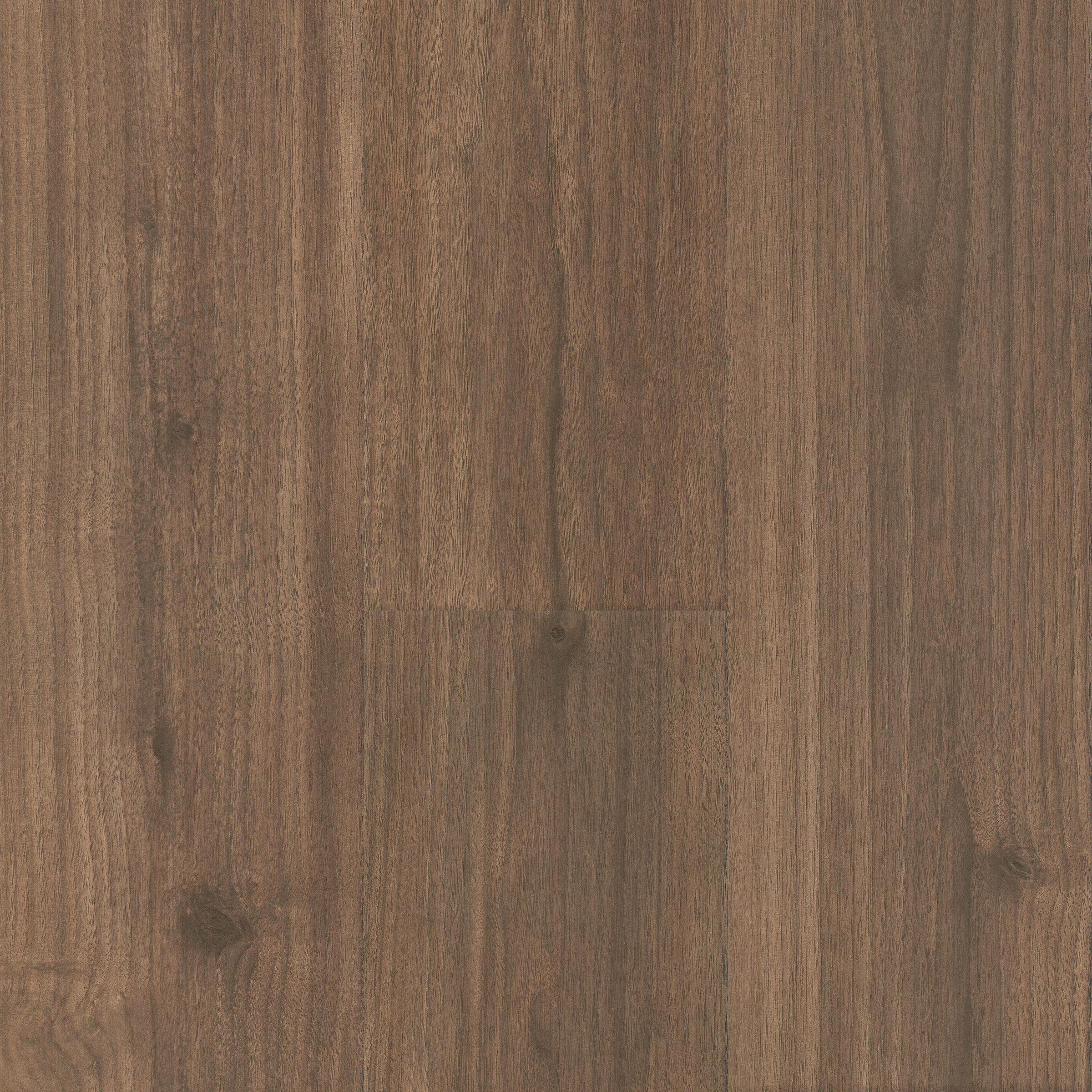 Misty Wood Walnut Threshold 12mm view 4