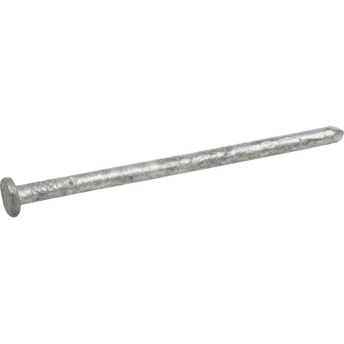Hot Dipped Galvanized Smooth Siding Nails 6D
