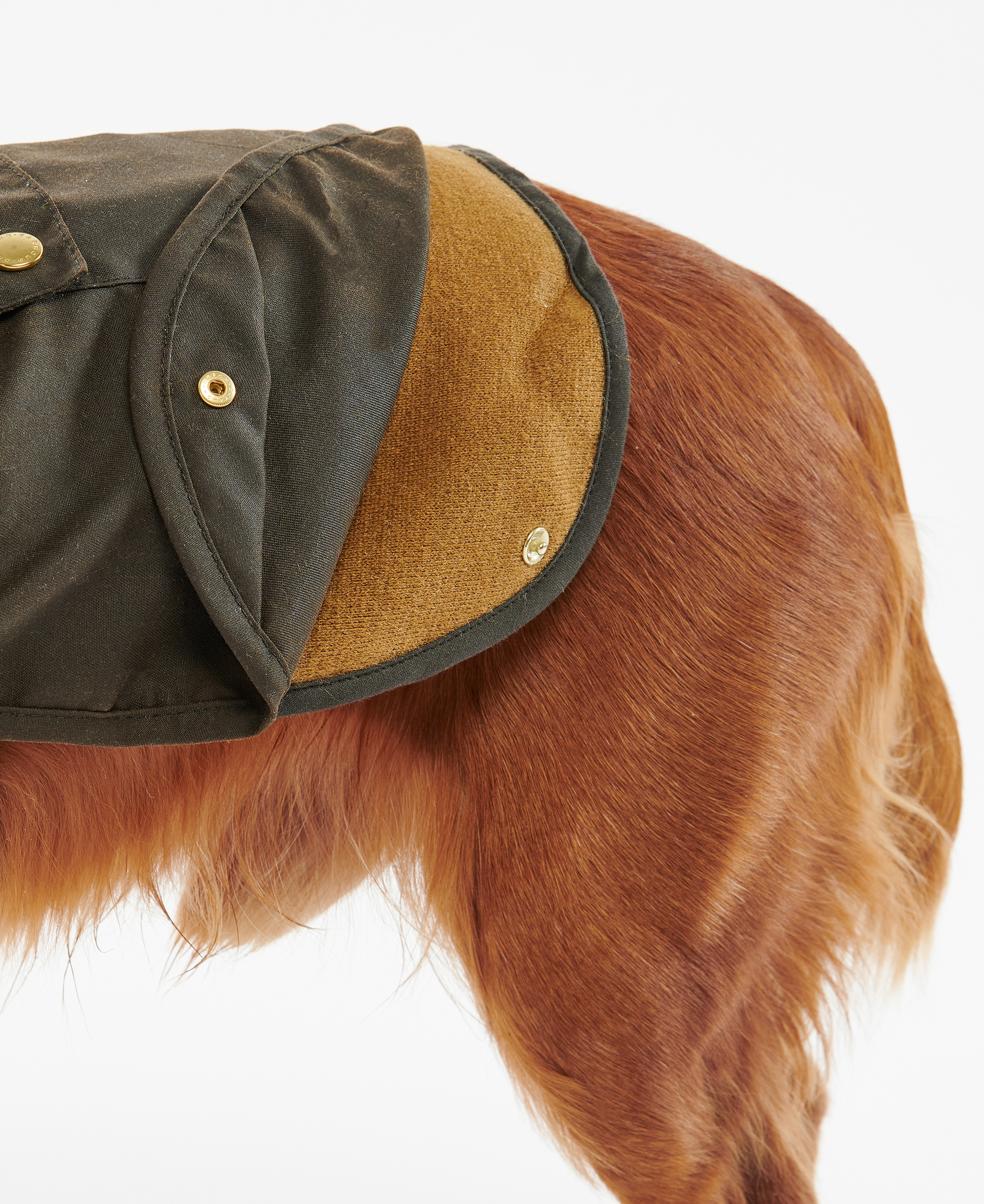 2-in-1 Waxed Dog Coat image number 2