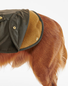 2-in-1 Waxed Dog Coat Olive