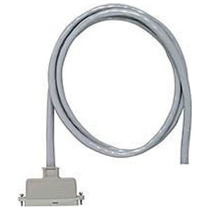 25 Pair Cable Assembly-One 180 Degree Male Plug, 75 ft.