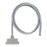25 Pair Cable Assembly-One 180 Degree Male Plug, 75 ft.