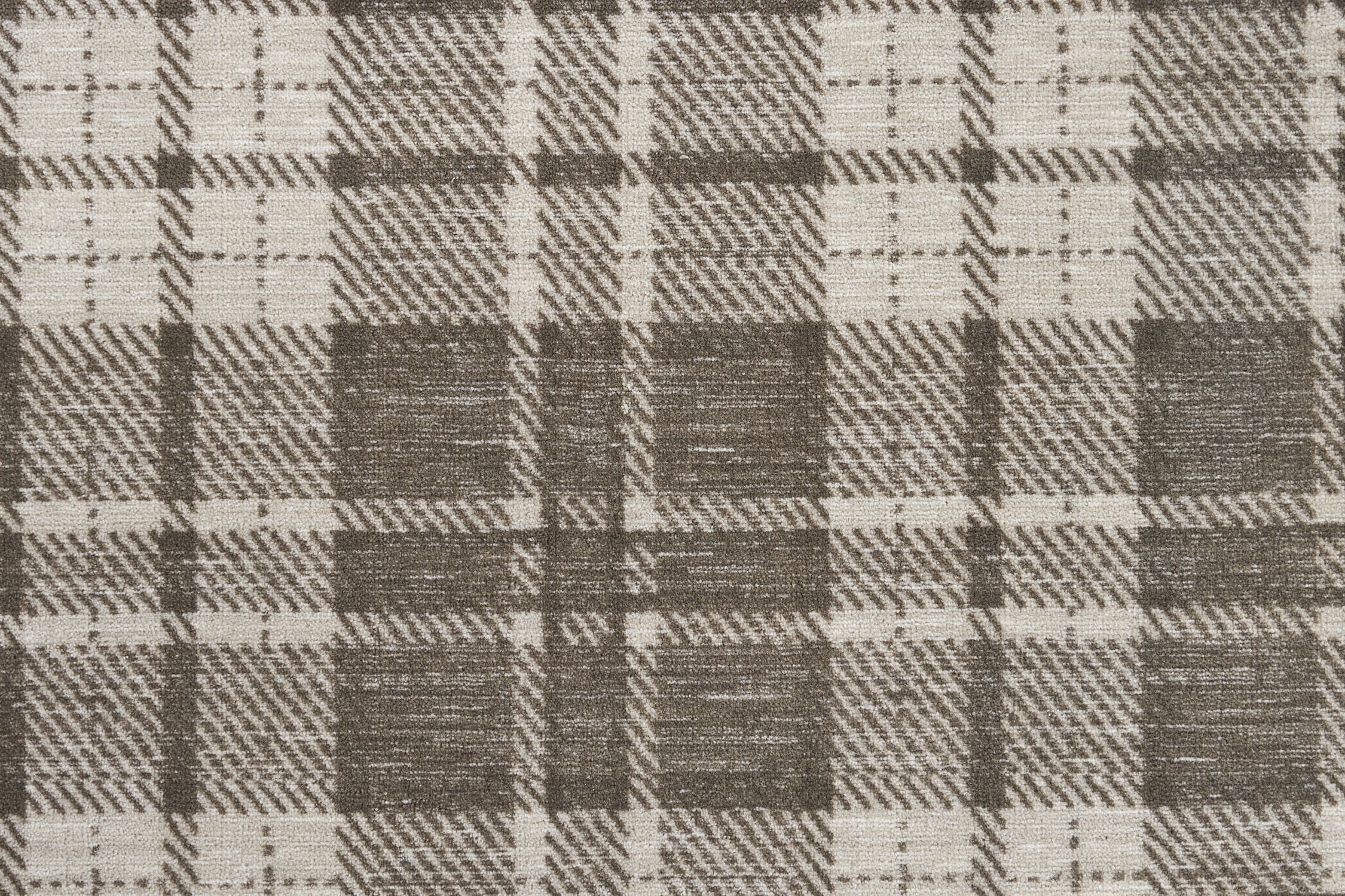 color-rug1