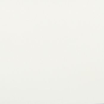 Off-white, subtly textured paper sheet fills the frame, evenly lit and flat, minimal shadow at lower right, plain neutral background suggesting a studio or scanner capture.