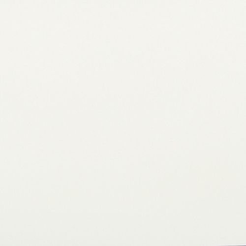 Off-white, subtly textured paper sheet fills the frame, evenly lit and flat, minimal shadow at lower right, plain neutral background suggesting a studio or scanner capture.