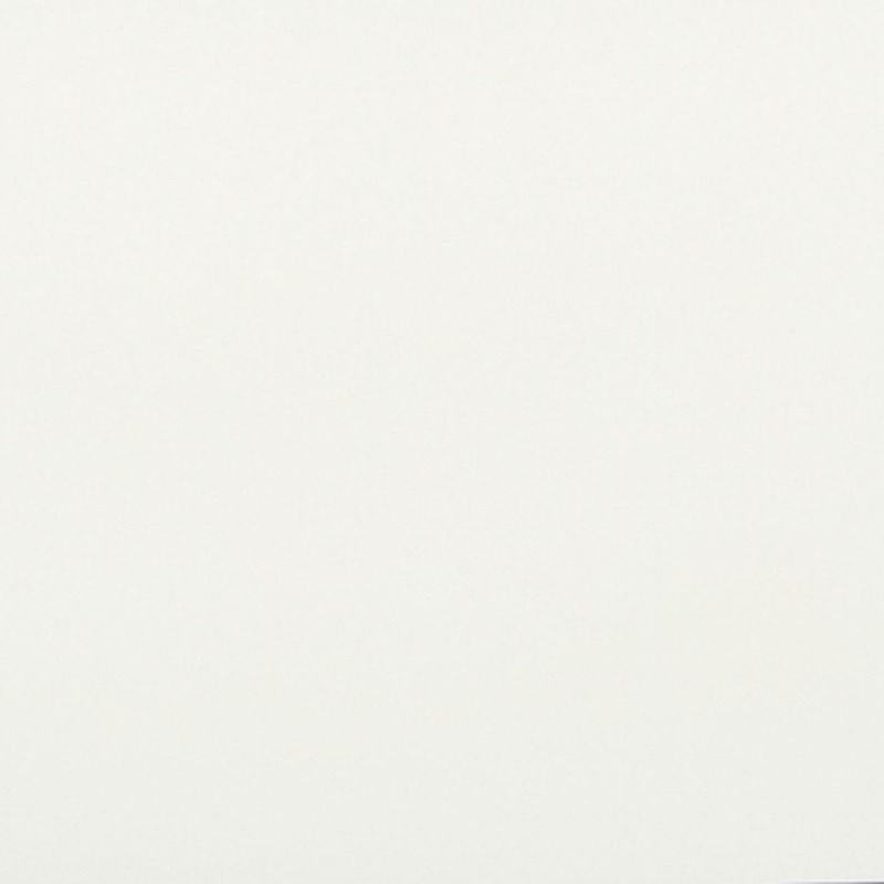 Off-white, subtly textured paper sheet fills the frame, evenly lit and flat, minimal shadow at lower right, plain neutral background suggesting a studio or scanner capture.