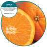 Hillyard, Refresh 2.0, Air Freshener, Citrus