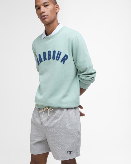 Somerset Pinstripe Swim Shorts