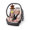 Monkey Business Musical Activity Gym™