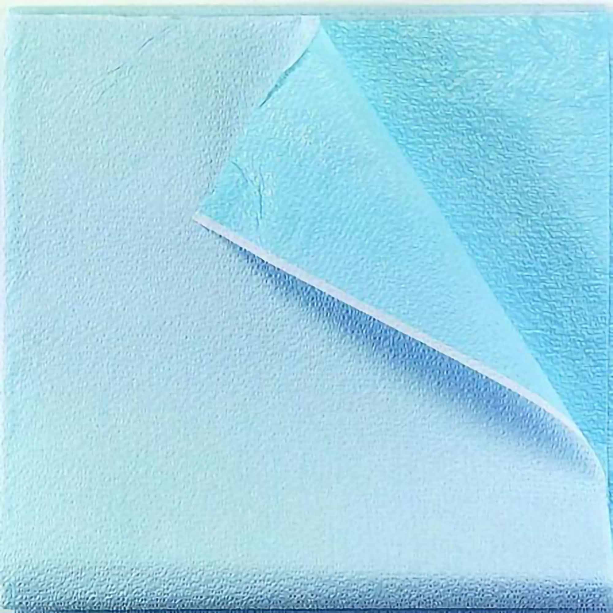 Tidi® Everyday Blue Stretcher Sheet, 40 x 72 Inch