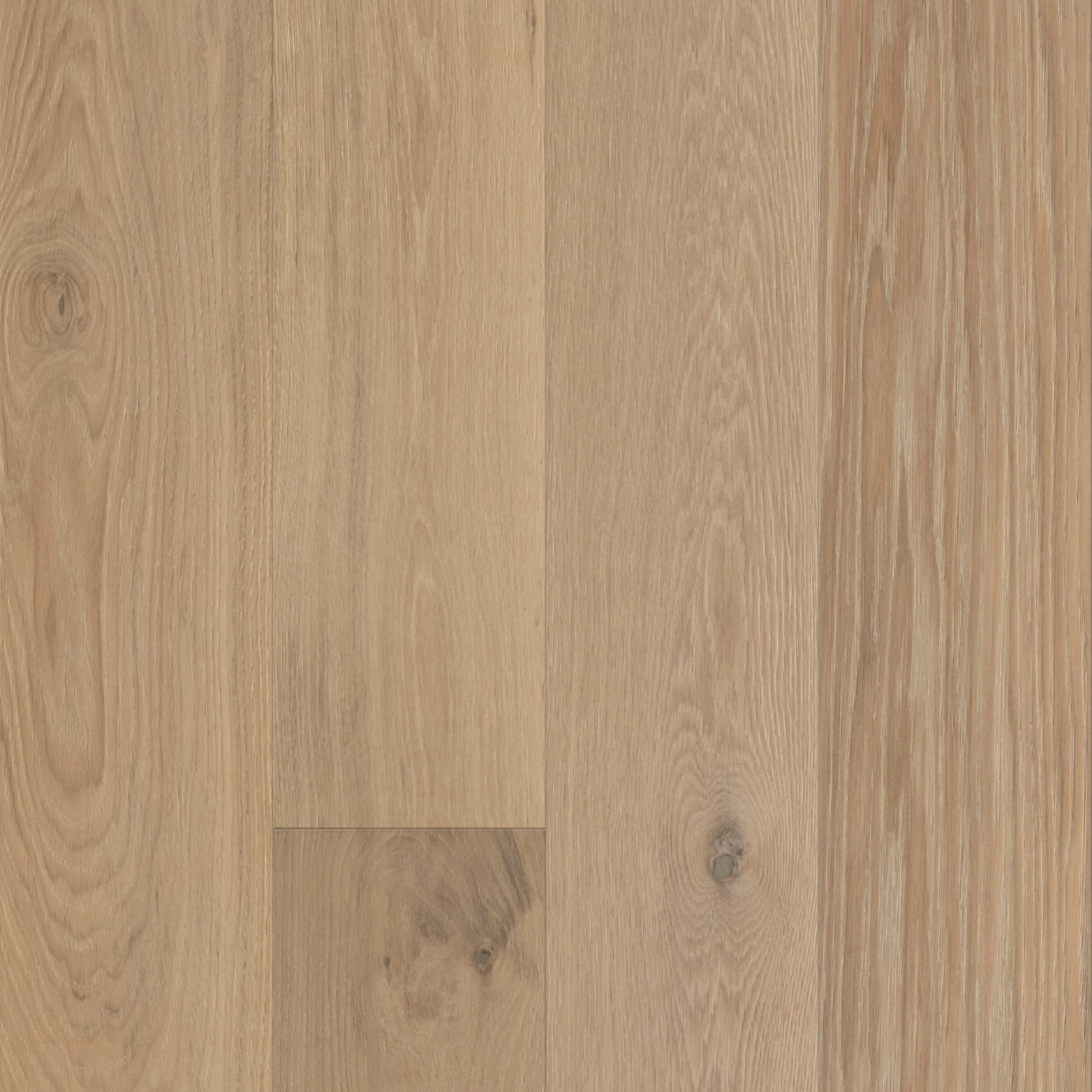 Sonoma Salt Oak view 3