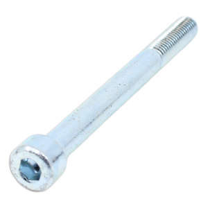 Screw