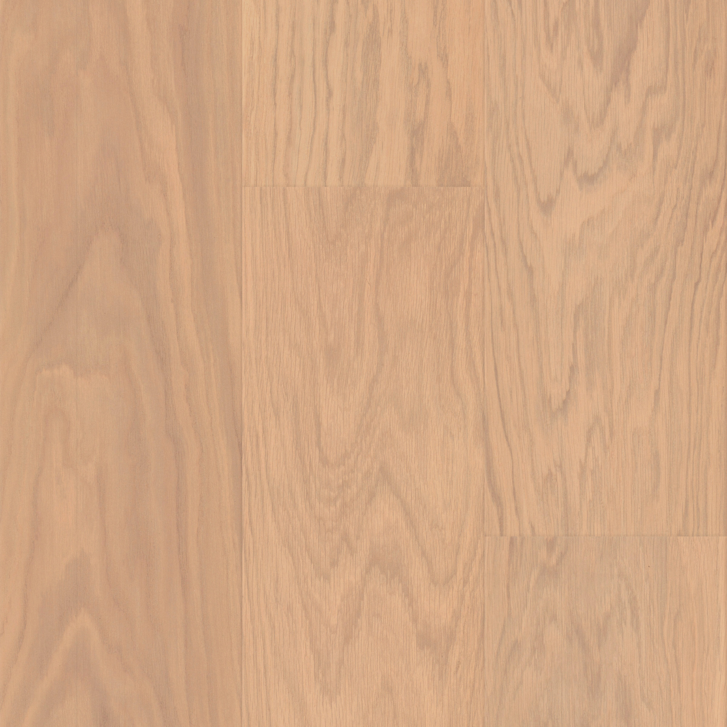 Sycamore Buff Reducer 12mm view 4