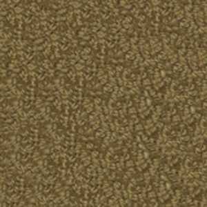 color-rug1