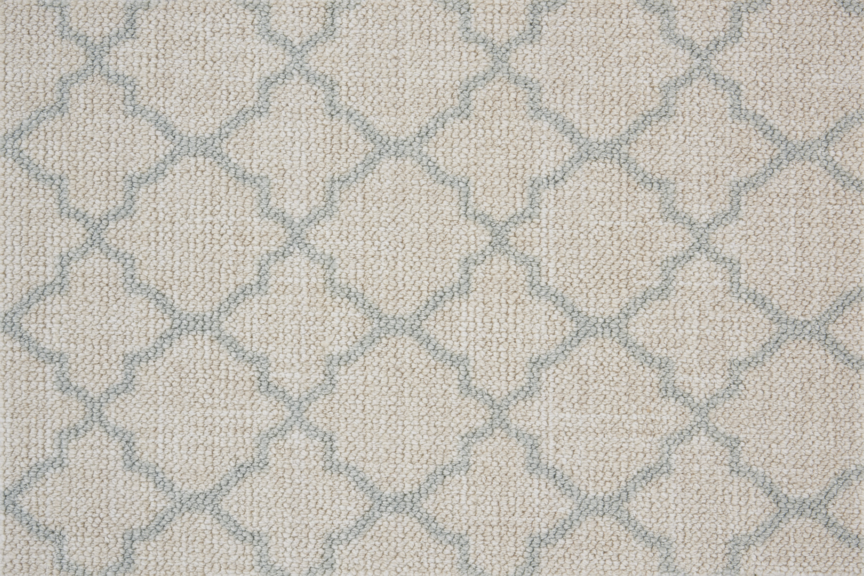 color-rug1