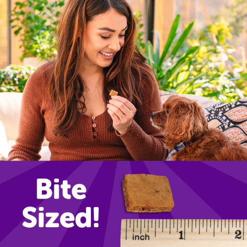The benifts of Wellness Puppy Bites Soft Lamb & Salmon