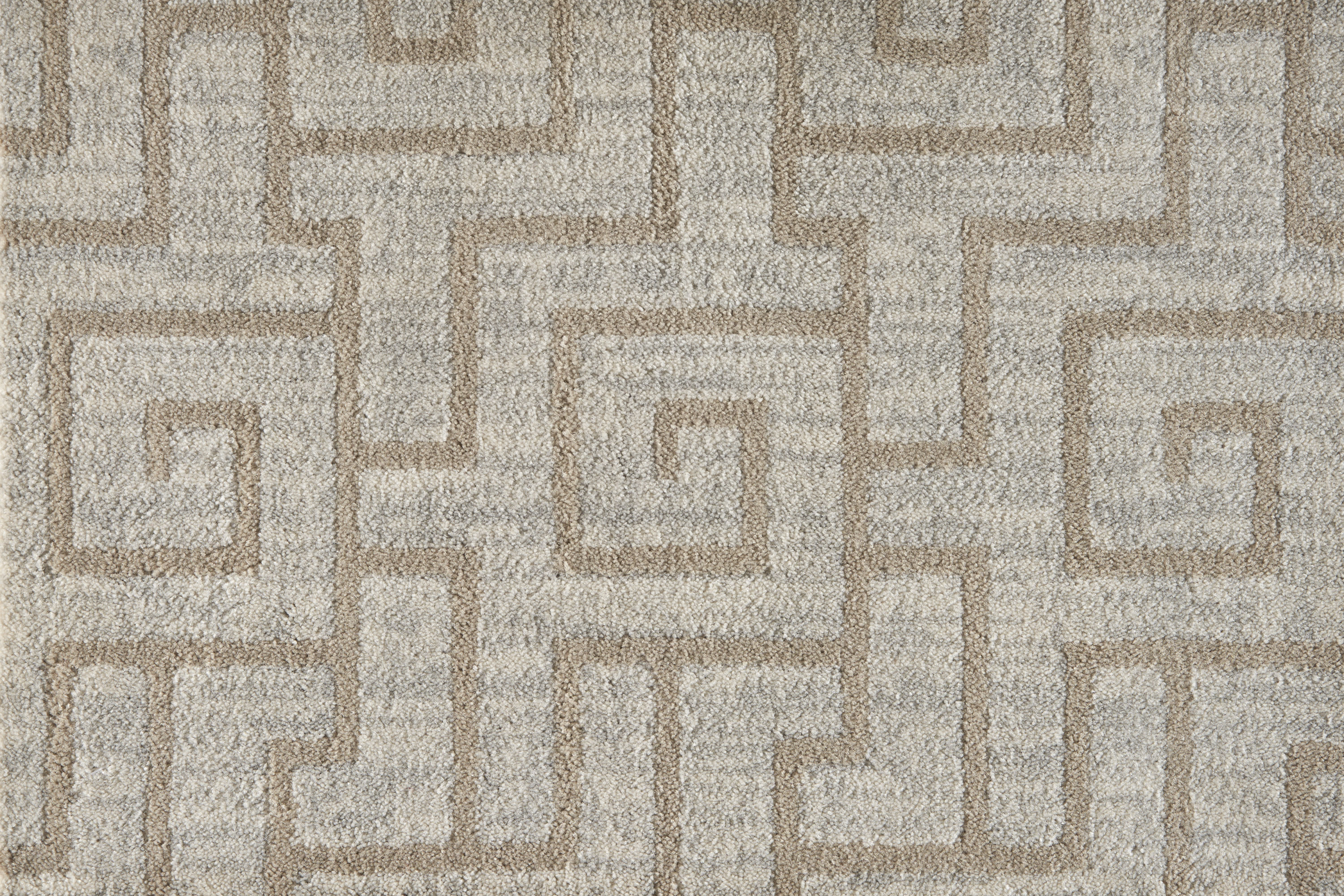 color-rug1