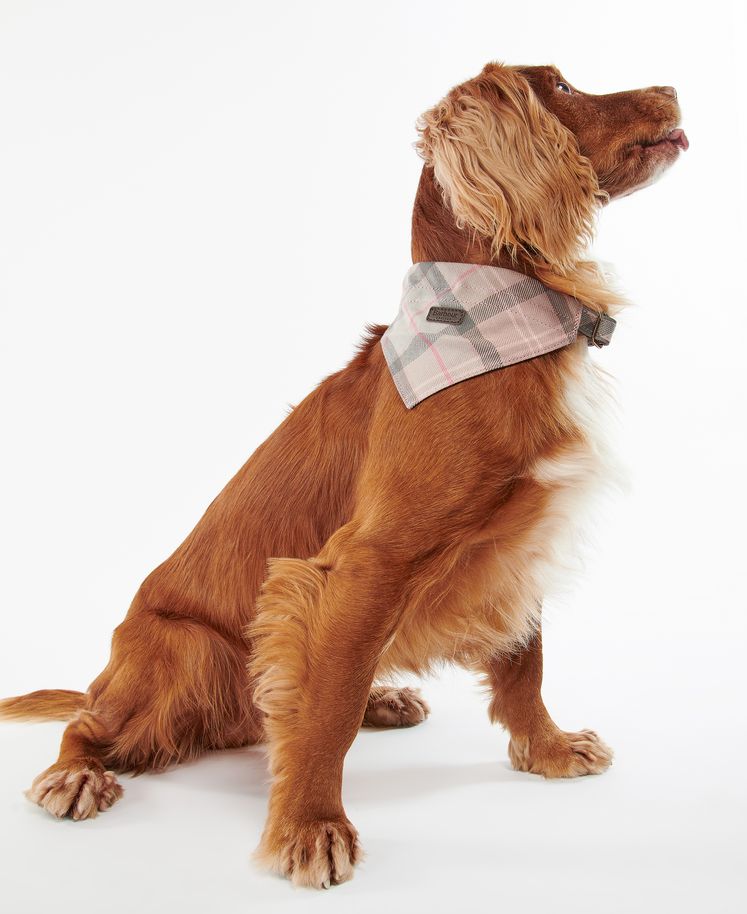 Tartan Bandana image number 0