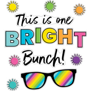 Kind Vibes This Is One Bright Bunch Bulletin Board Set