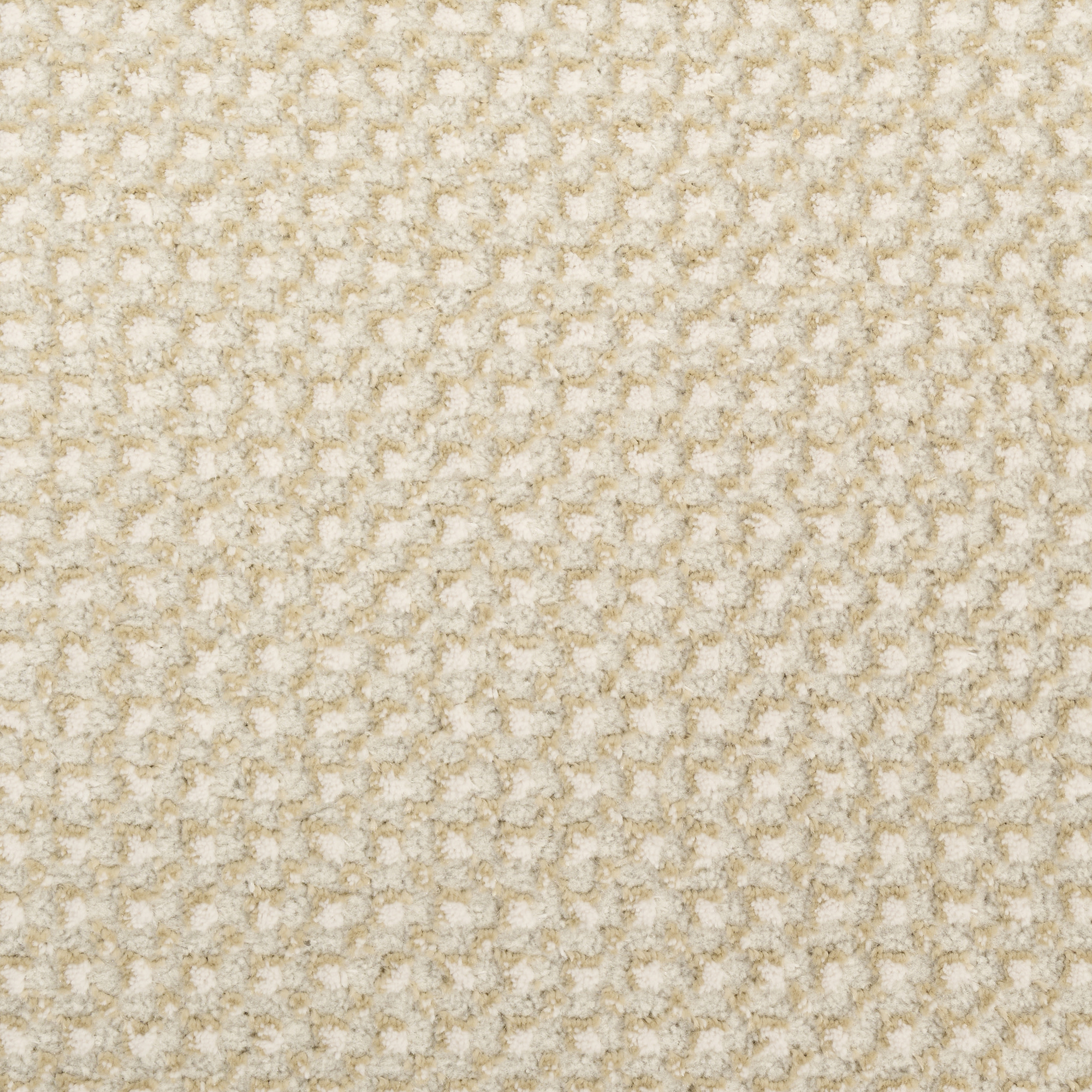 DKNY Atlantic Avenue 4' x 6' Beige Modern Indoor Rug