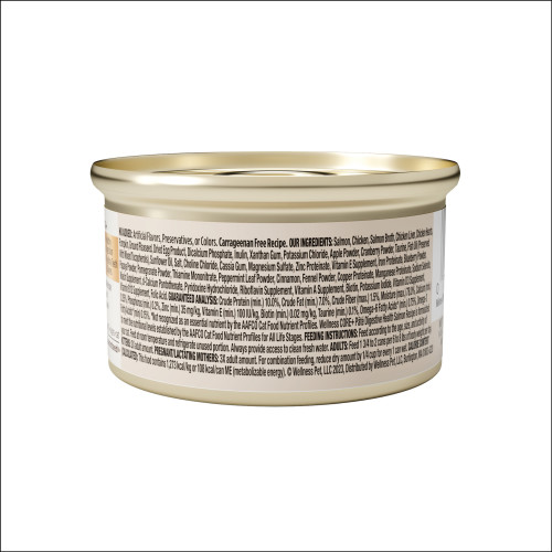 Wellness CORE+ Digestive Health Salmon back packaging