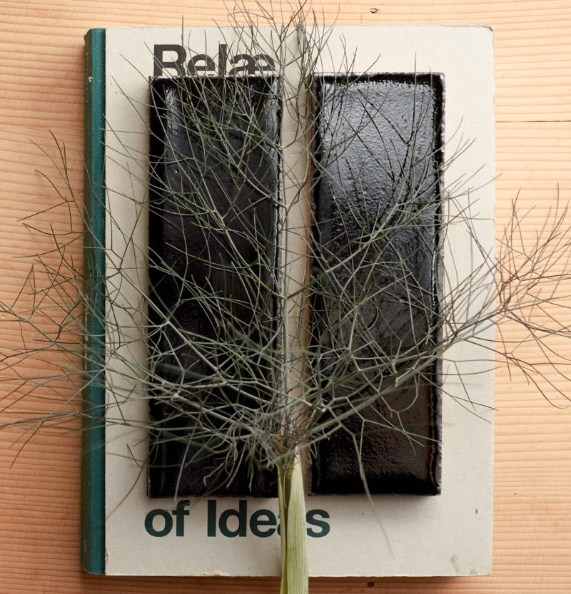 two black rectangle tiles and some fennel sitting on top of a book.