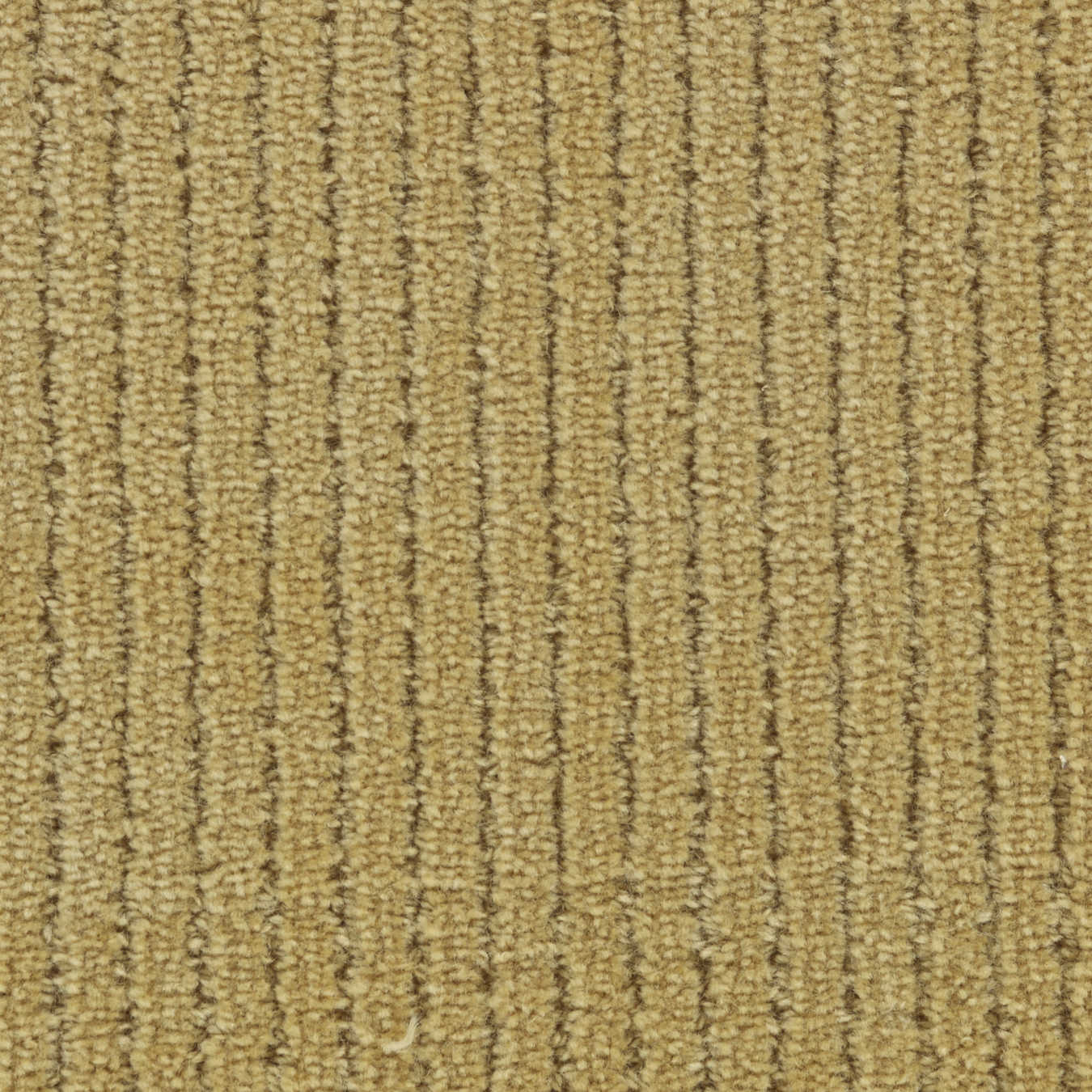 color-rug1