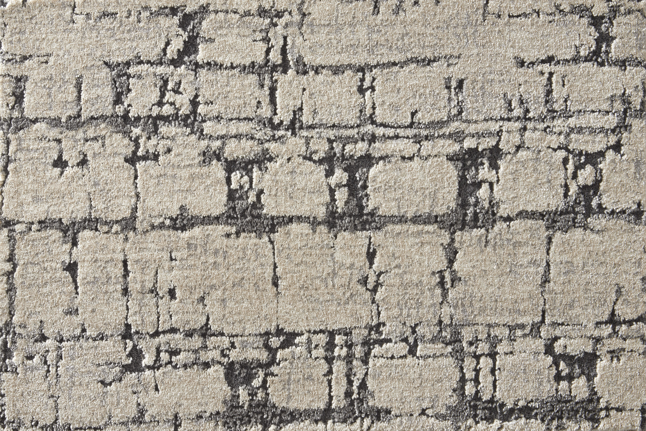color-rug1
