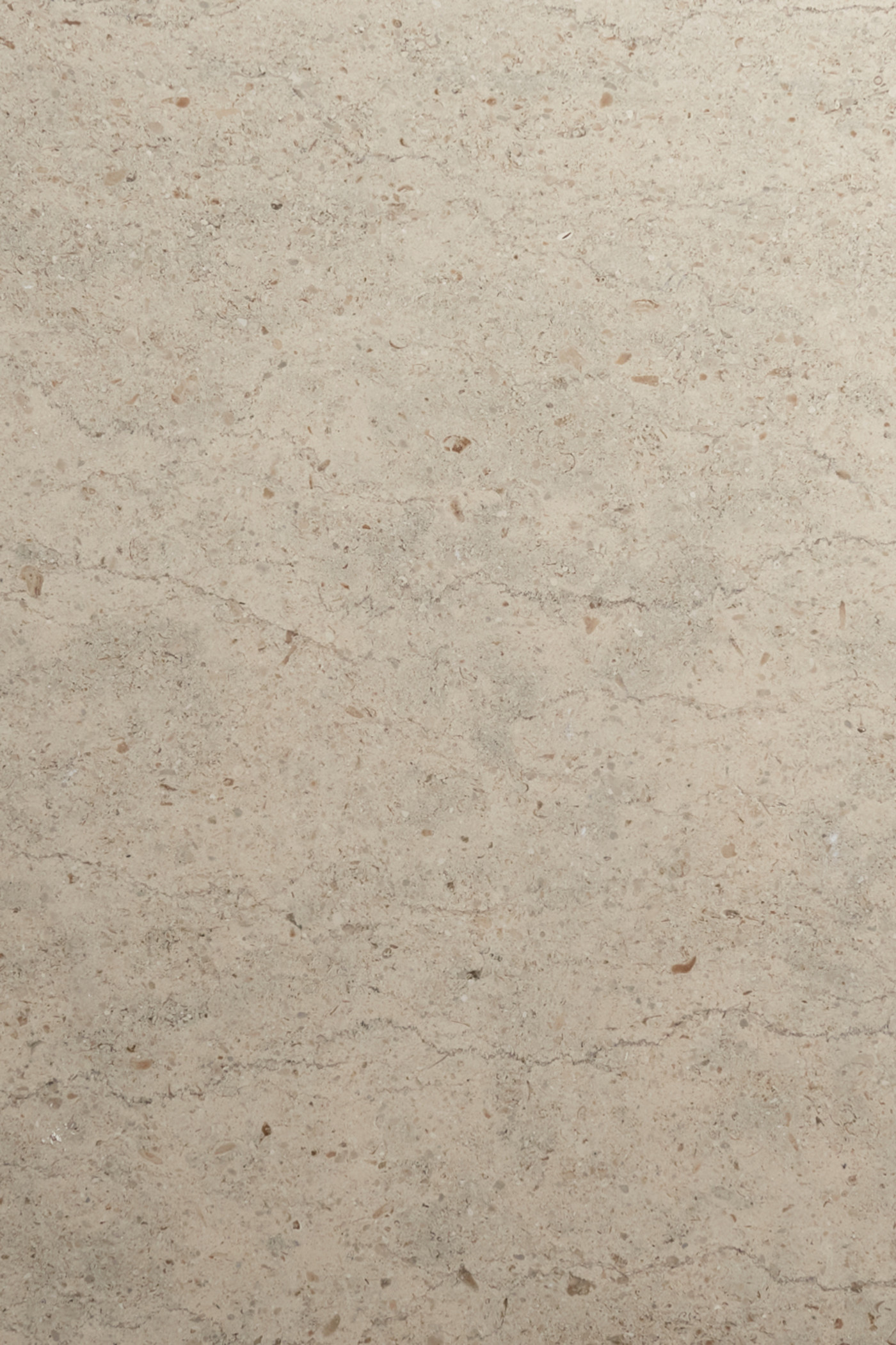 a close up image of limestone tile in medium-grey beige color, marked striations and flecks of white.