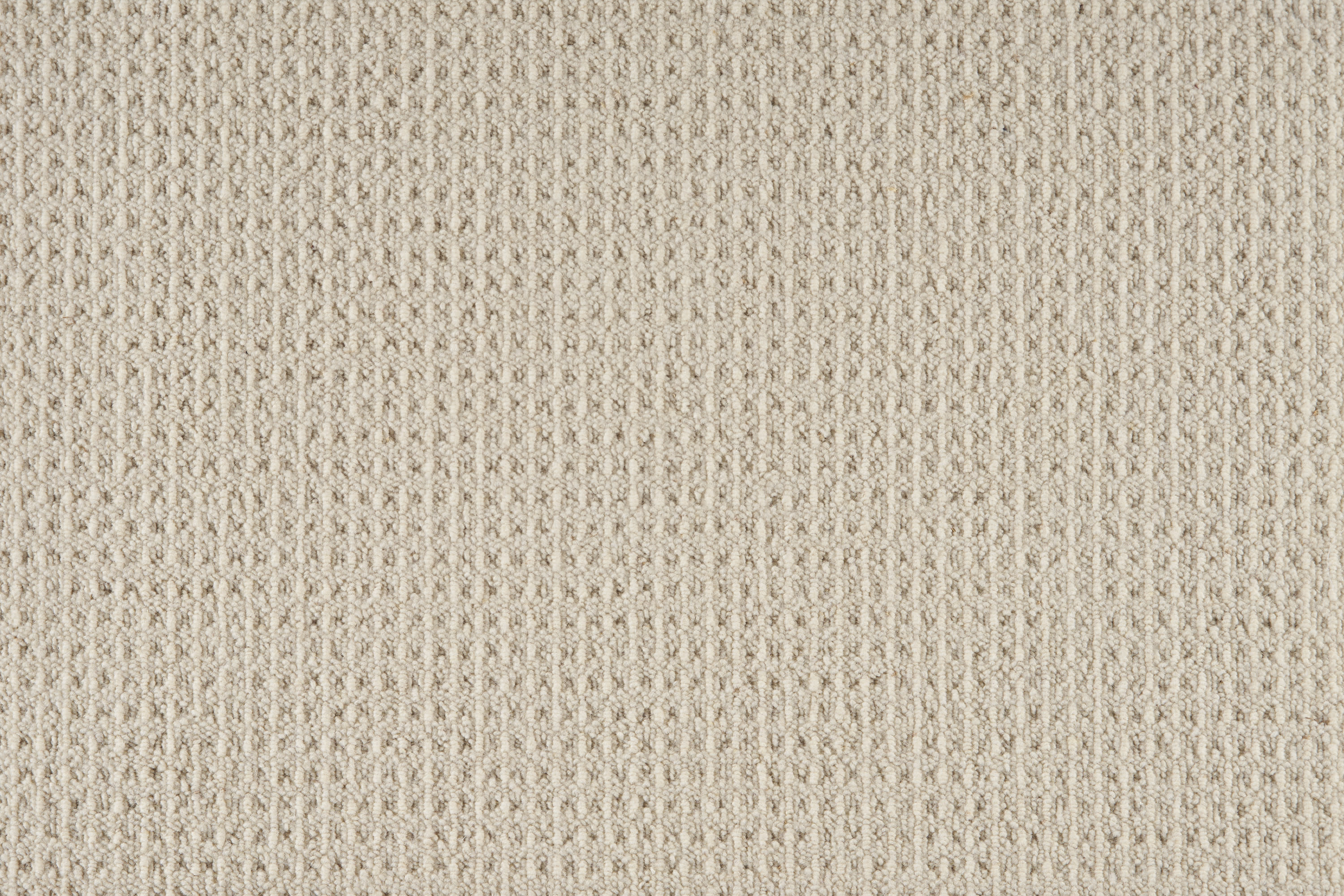 color-rug1