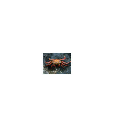 s--sI_IHFCg--/rtsdb2mmmxteox2o0t2i.jpg