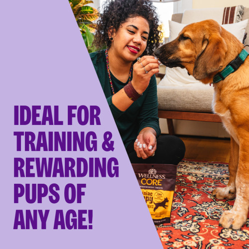 The benefits of Wellness CORE Brainiac Puppy Beef & Turkey