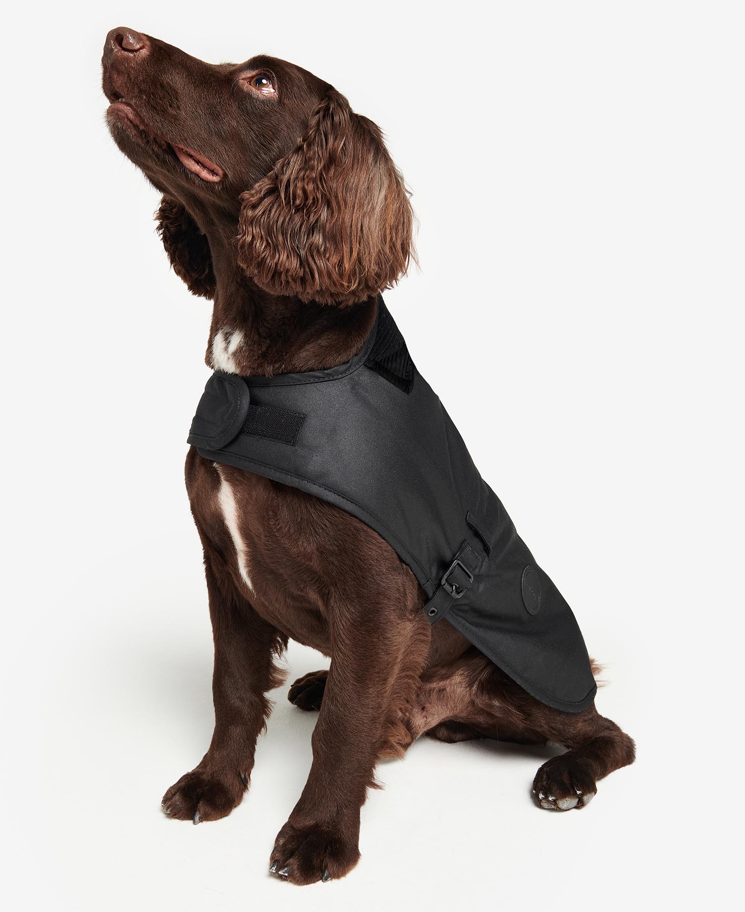 Hundemantel Wachs image number 0