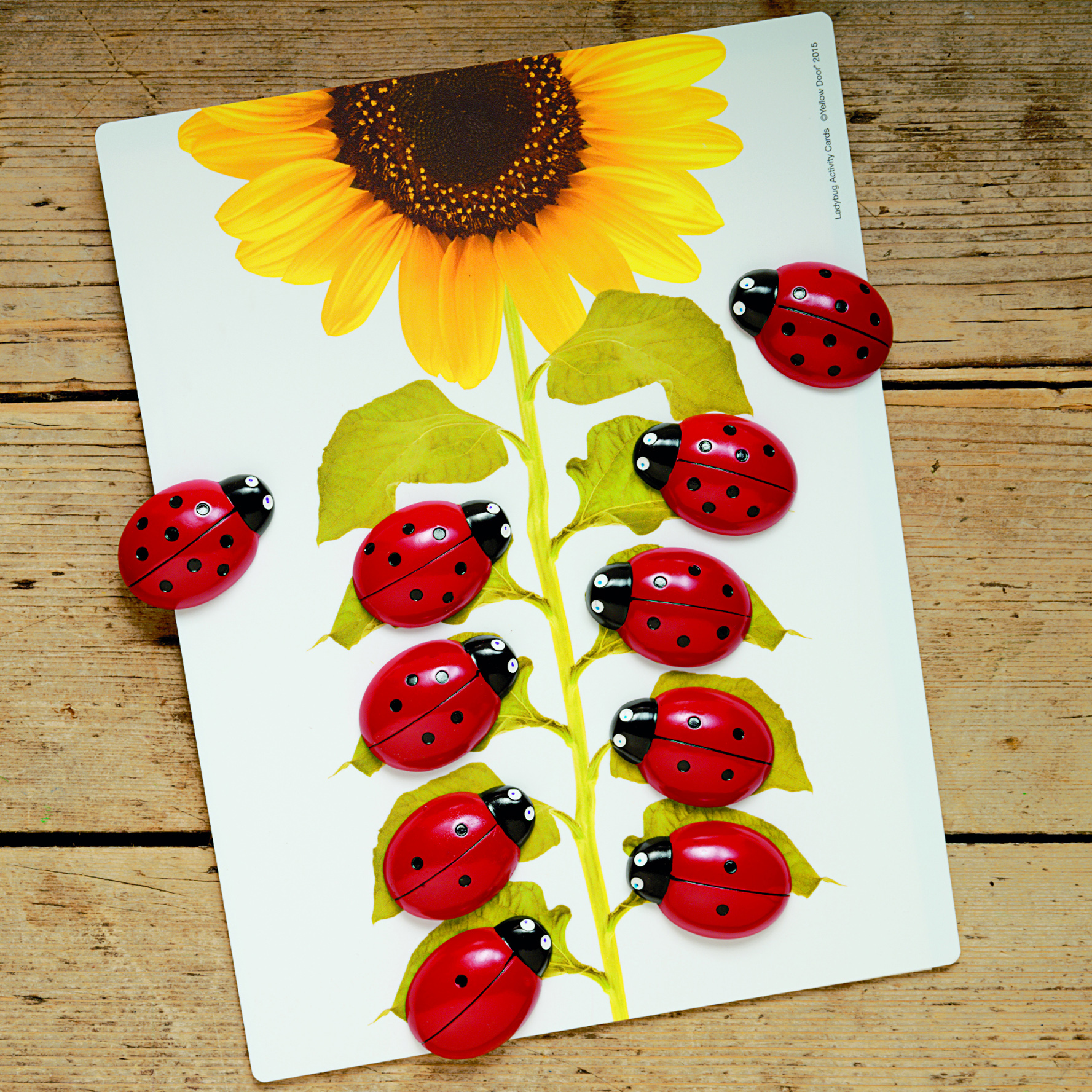 Yellow Door Ladybugs Early Number Card, Pack of 16 image number null