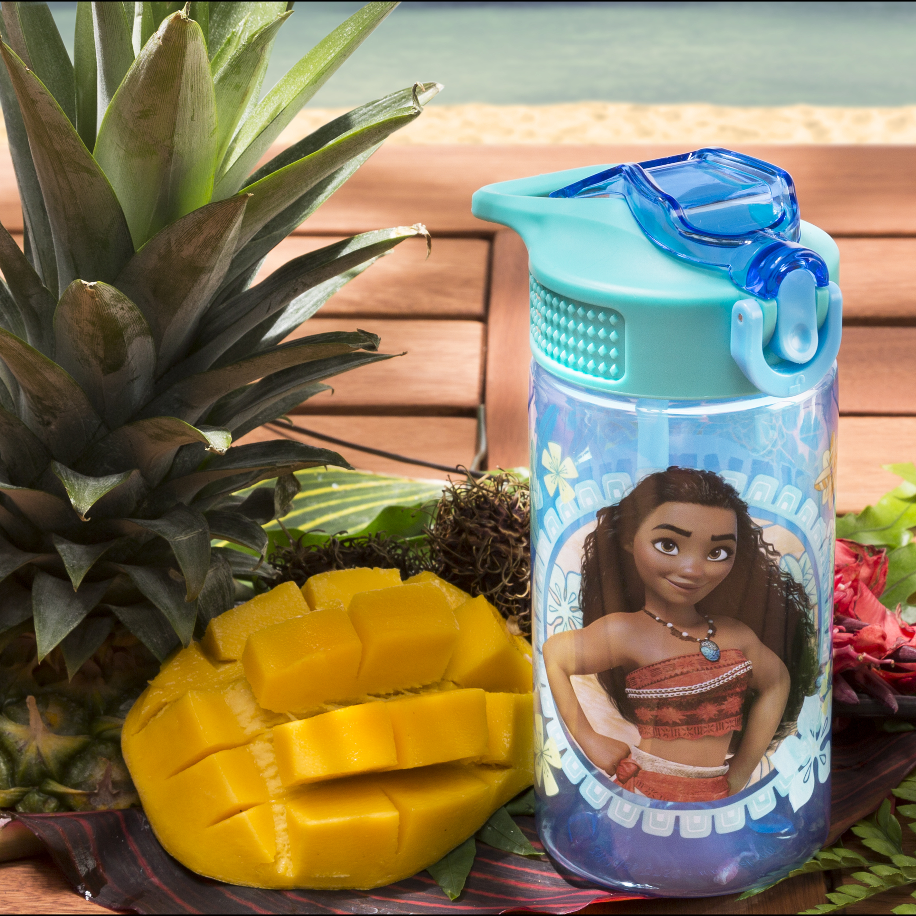Disney Dinnerware Set, Moana, 5-piece set