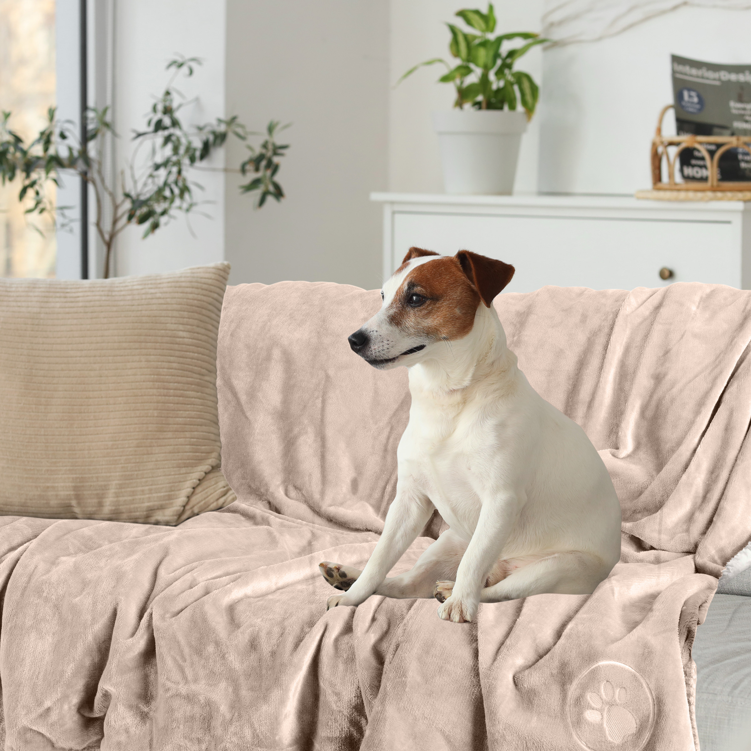 PETMAKER 60x80in Dog Blanket Throw Blankets for Bed Puppy Essentials - Picture 23 of 26
