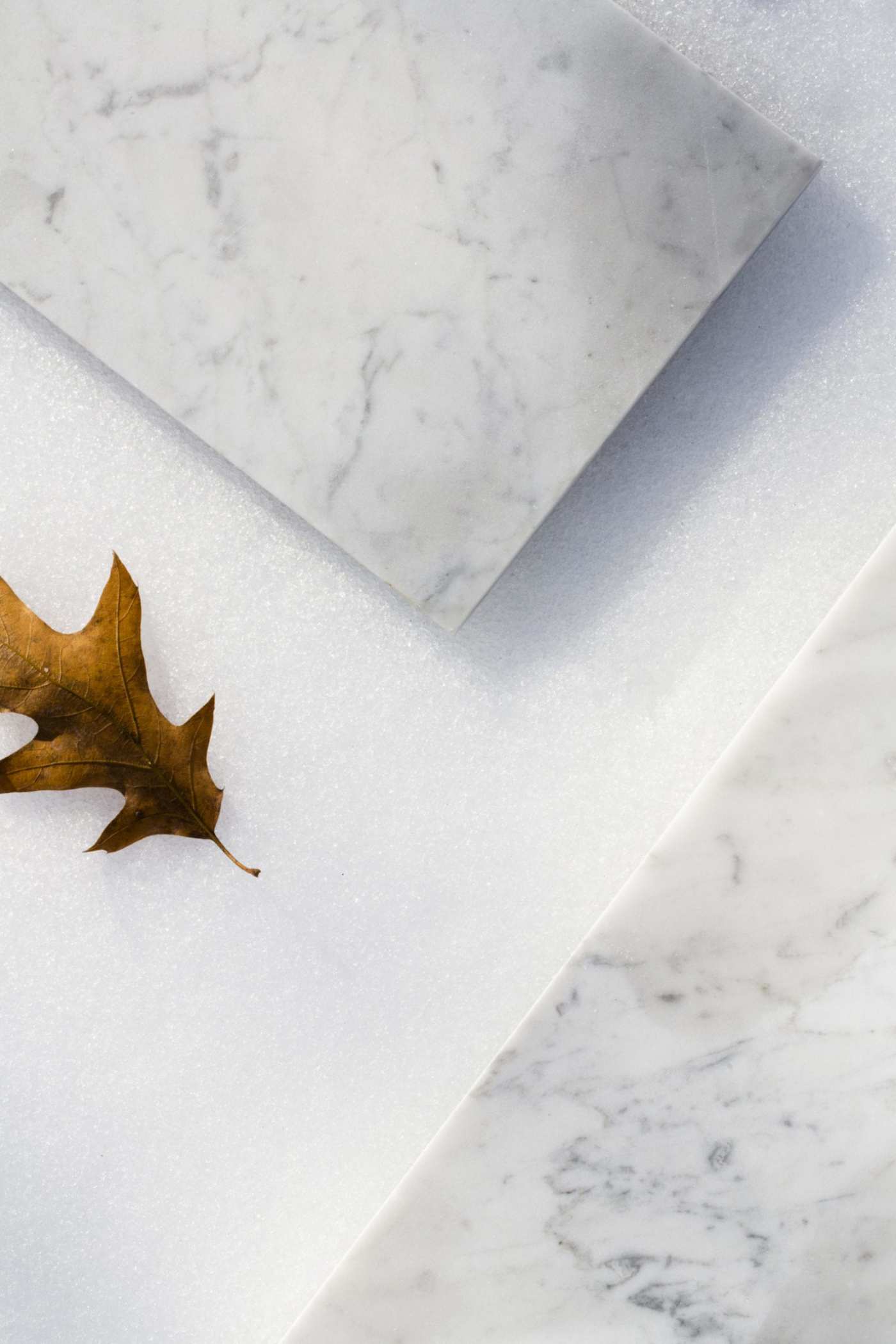 a leaf sits on top of a marble surface.