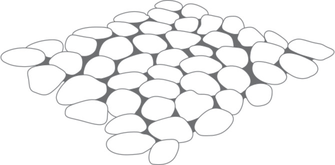 Color Variation Image