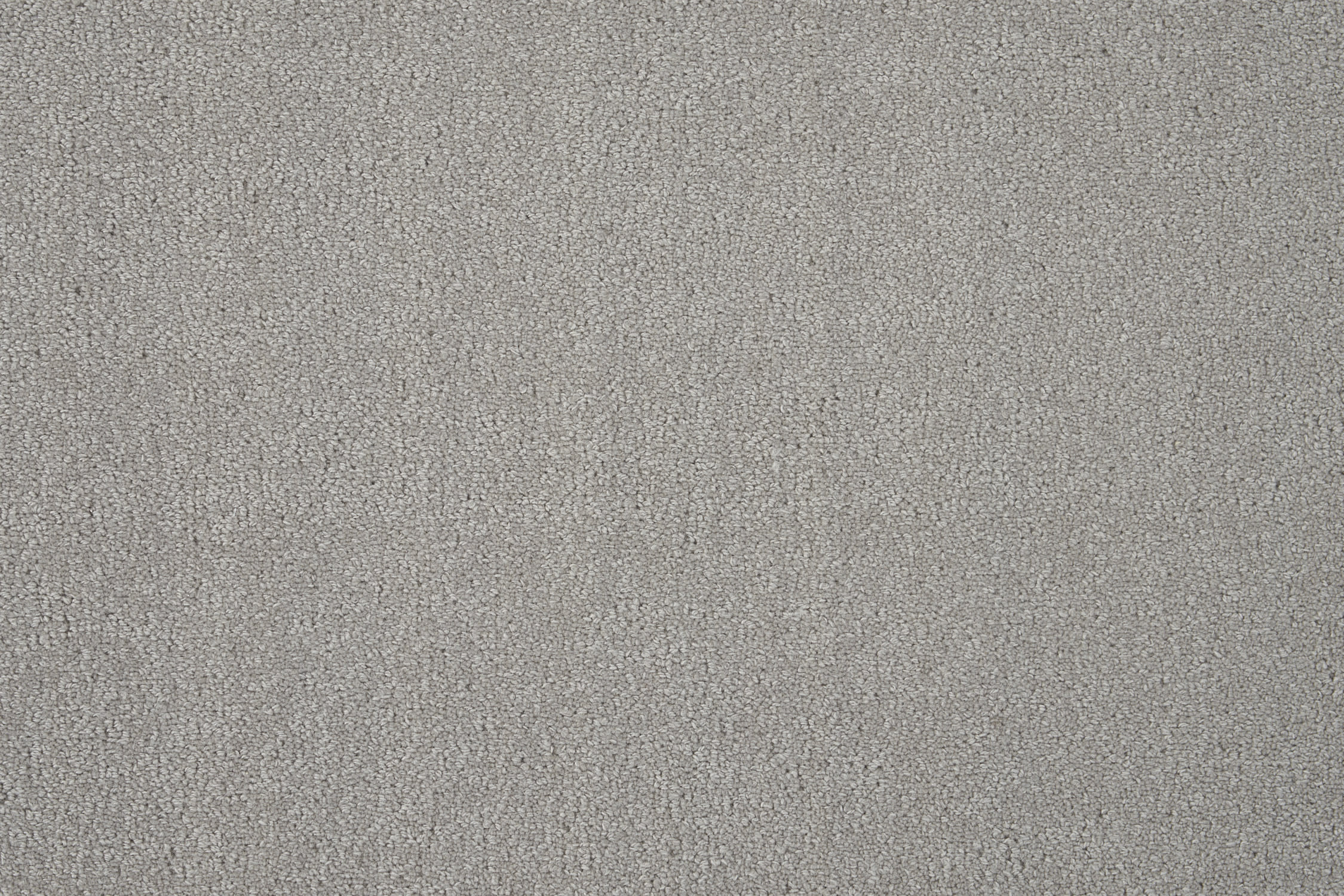 color-rug1
