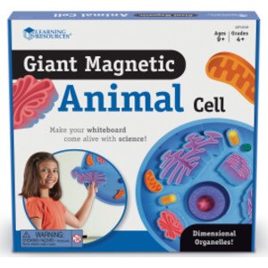 Giant Magnetic Animal Cells