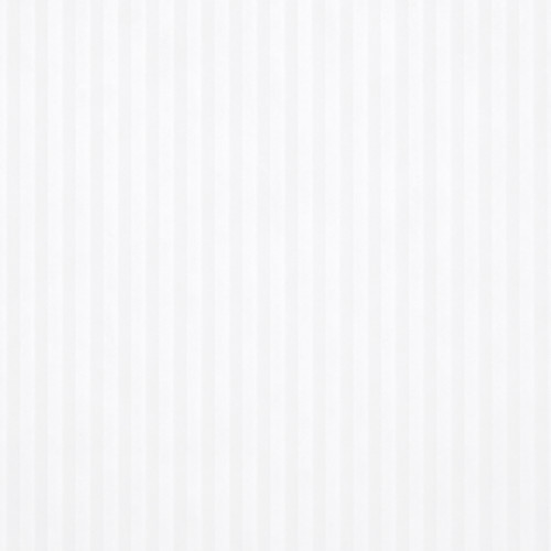 Scene Set White Blind Screen 02