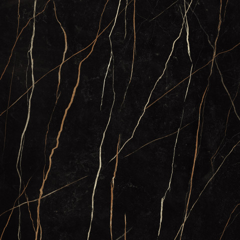 Sahara Noir