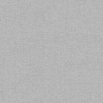 Karlina Blackout Silver Roller Blind